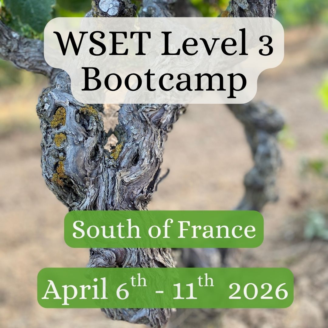 WSET Level 3 テキスト 【公式通販】